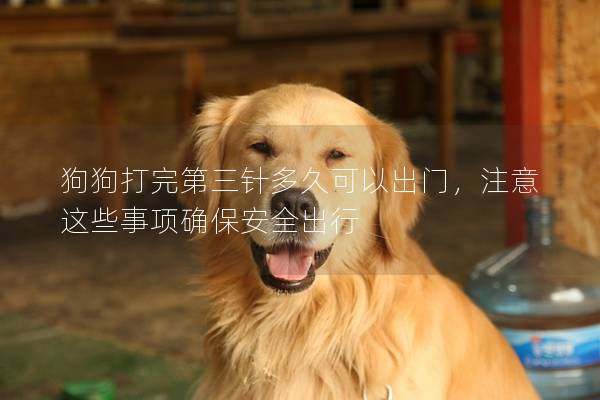 狗狗打完第三针多久可以出门，注意这些事项确保安全出行