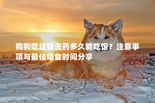 狗狗吃过驱虫药多久能吃饭？注意事项与最佳喂食时间分享