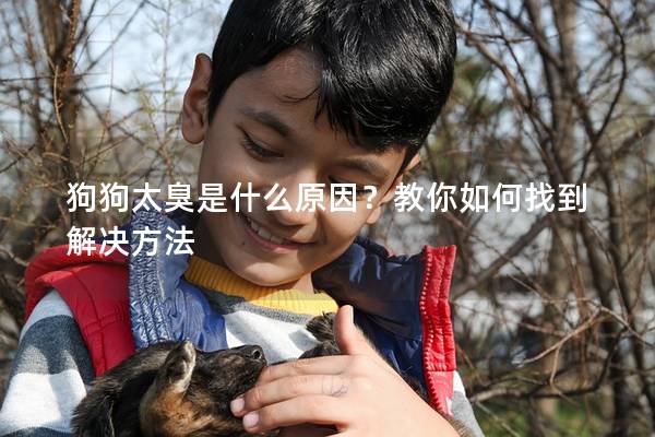 狗狗太臭是什么原因？教你如何找到解决方法