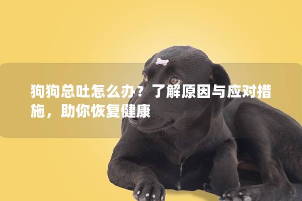 狗狗总吐怎么办？了解原因与应对措施，助你恢复健康