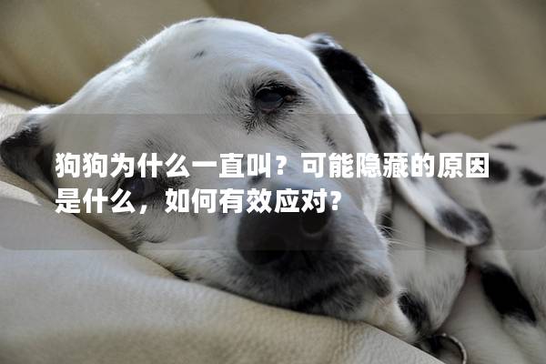 狗狗为什么一直叫？可能隐藏的原因是什么，如何有效应对？