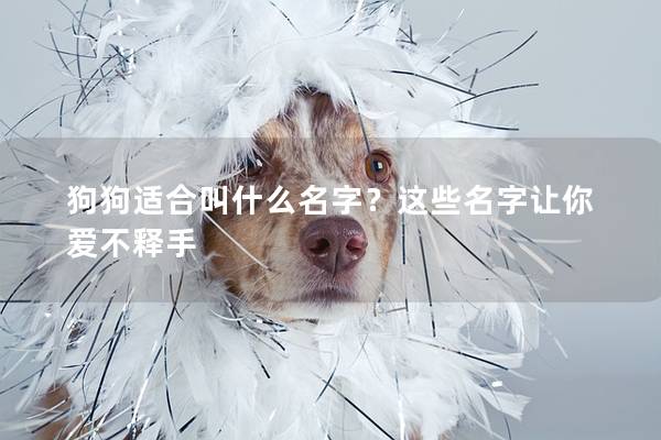 狗狗适合叫什么名字？这些名字让你爱不释手