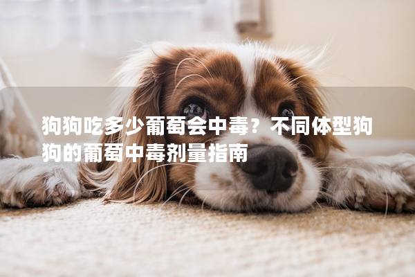狗狗吃多少葡萄会中毒？不同体型狗狗的葡萄中毒剂量指南