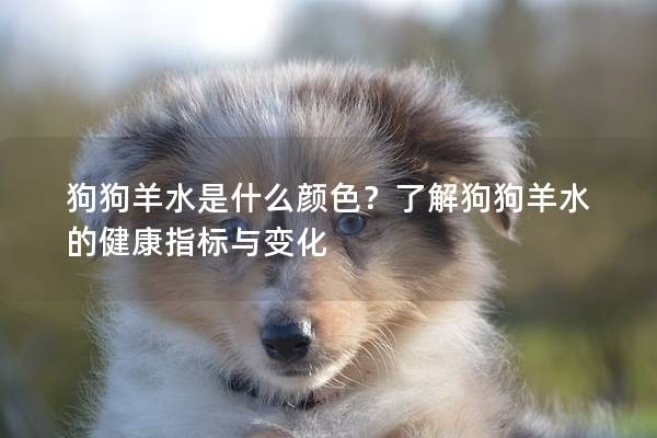 狗狗羊水是什么颜色？了解狗狗羊水的健康指标与变化