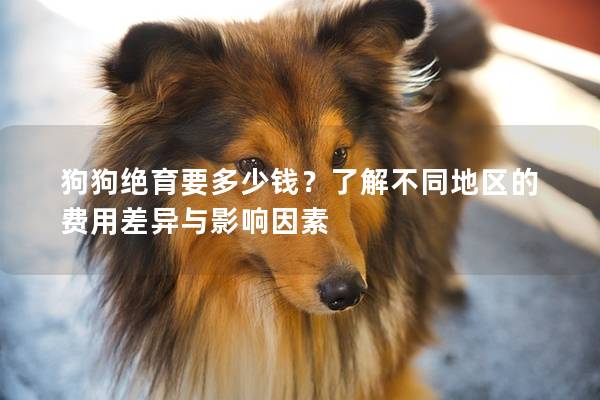 狗狗绝育要多少钱？了解不同地区的费用差异与影响因素