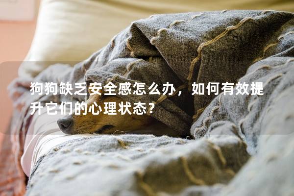 狗狗缺乏安全感怎么办，如何有效提升它们的心理状态？