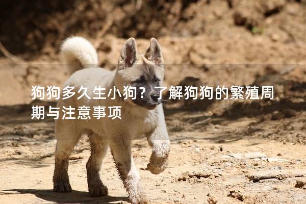 狗狗多久生小狗？了解狗狗的繁殖周期与注意事项