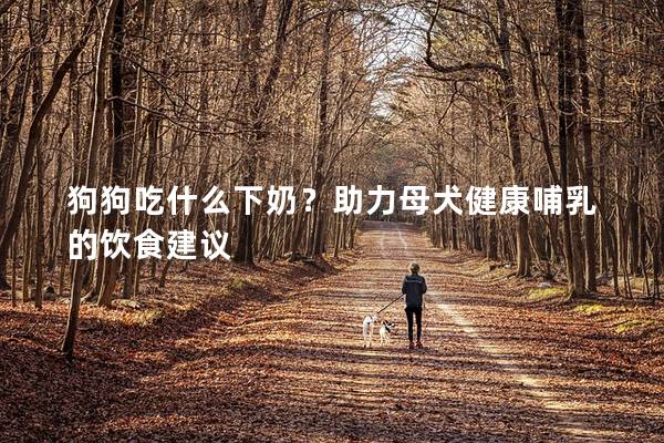 狗狗吃什么下奶？助力母犬健康哺乳的饮食建议