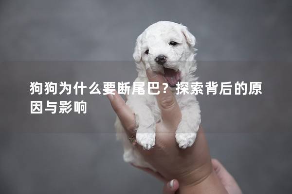 狗狗为什么要断尾巴？探索背后的原因与影响
