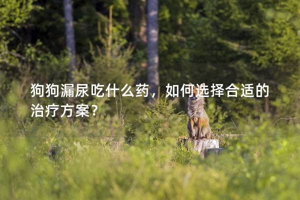 狗狗漏尿吃什么药，如何选择合适的治疗方案？