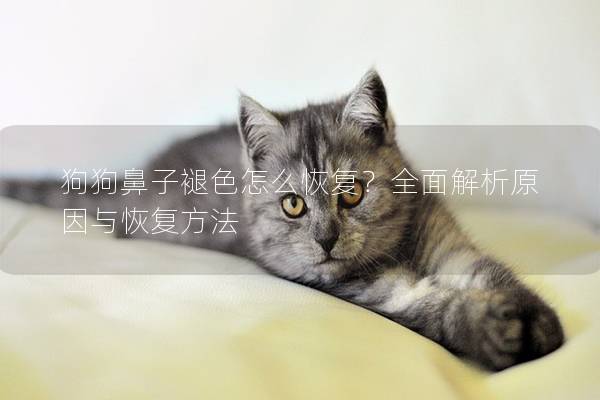 狗狗鼻子褪色怎么恢复？全面解析原因与恢复方法