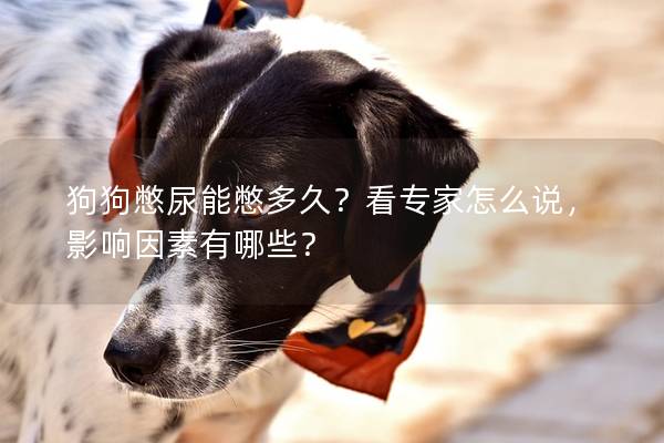 狗狗憋尿能憋多久？看专家怎么说，影响因素有哪些？