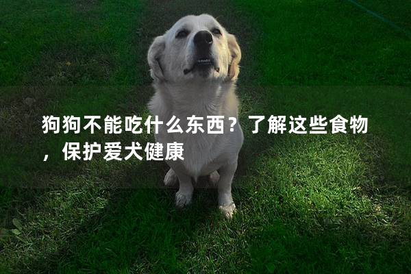 狗狗不能吃什么东西？了解这些食物，保护爱犬健康