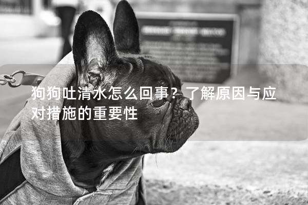狗狗吐清水怎么回事？了解原因与应对措施的重要性