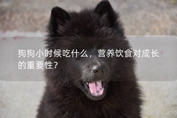 狗狗小时候吃什么，营养饮食对成长的重要性？