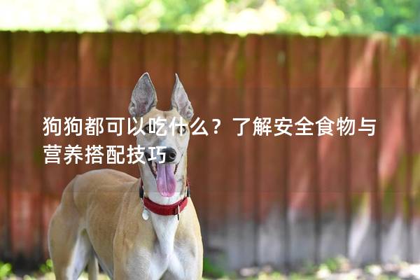 狗狗都可以吃什么？了解安全食物与营养搭配技巧