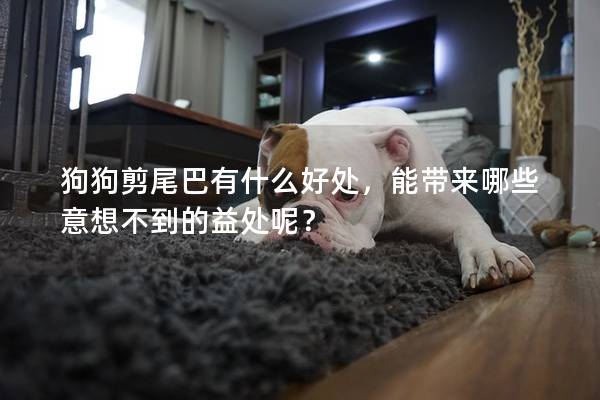 狗狗剪尾巴有什么好处，能带来哪些意想不到的益处呢？