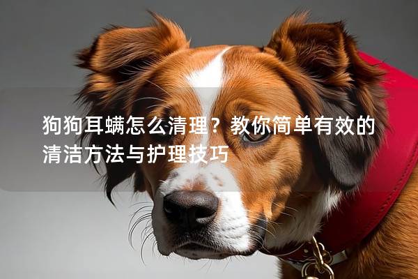 狗狗耳螨怎么清理？教你简单有效的清洁方法与护理技巧