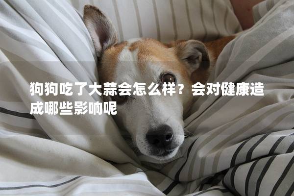 狗狗吃了大蒜会怎么样？会对健康造成哪些影响呢