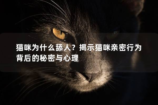 猫咪为什么舔人？揭示猫咪亲密行为背后的秘密与心理