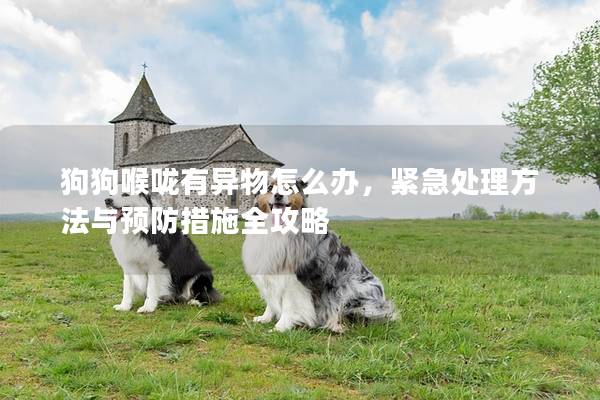 狗狗喉咙有异物怎么办，紧急处理方法与预防措施全攻略