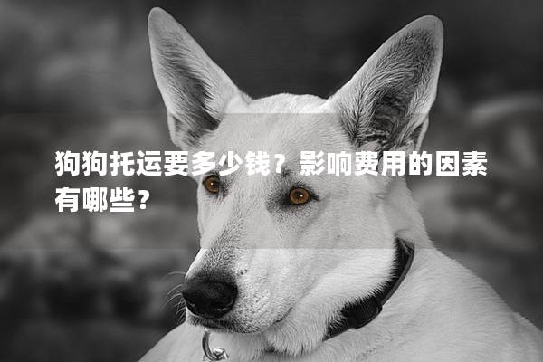 狗狗托运要多少钱？影响费用的因素有哪些？