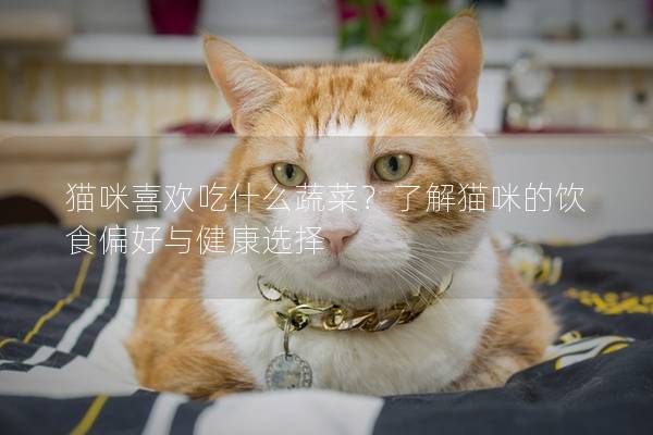 猫咪喜欢吃什么蔬菜？了解猫咪的饮食偏好与健康选择