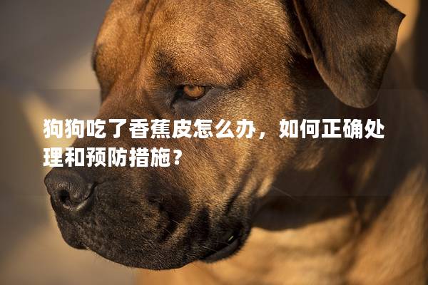 狗狗吃了香蕉皮怎么办，如何正确处理和预防措施？