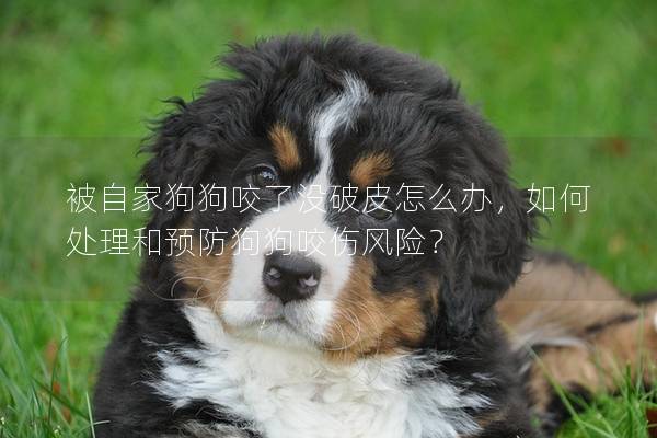 被自家狗狗咬了没破皮怎么办，如何处理和预防狗狗咬伤风险？
