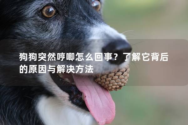 狗狗突然哼唧怎么回事？了解它背后的原因与解决方法
