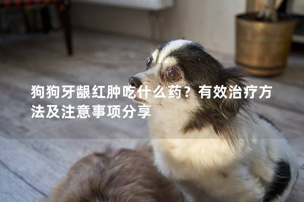 狗狗牙龈红肿吃什么药？有效治疗方法及注意事项分享