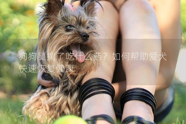 狗狗腿瘸了吃什么药？如何帮助爱犬快速恢复健康