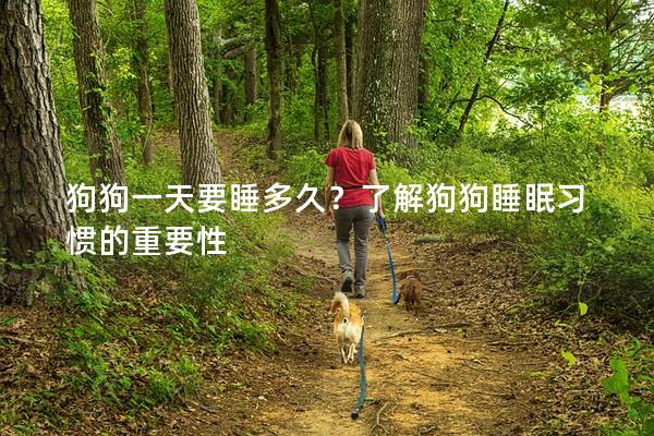 狗狗一天要睡多久？了解狗狗睡眠习惯的重要性
