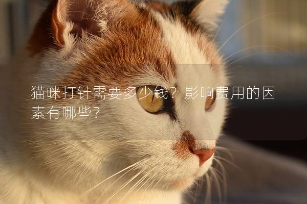 猫咪打针需要多少钱？影响费用的因素有哪些？