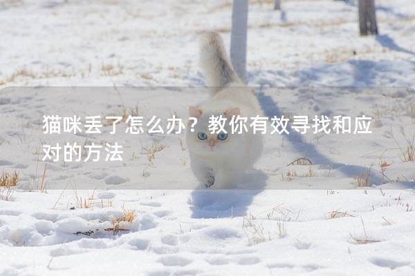 猫咪丢了怎么办？教你有效寻找和应对的方法