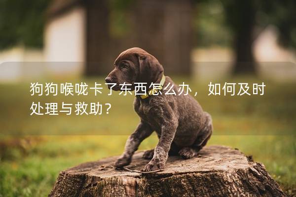 狗狗喉咙卡了东西怎么办，如何及时处理与救助？