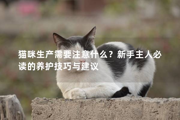 猫咪生产需要注意什么？新手主人必读的养护技巧与建议