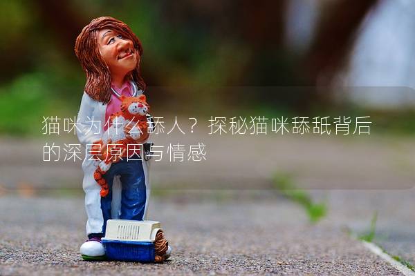 猫咪为什么舔人？探秘猫咪舔舐背后的深层原因与情感