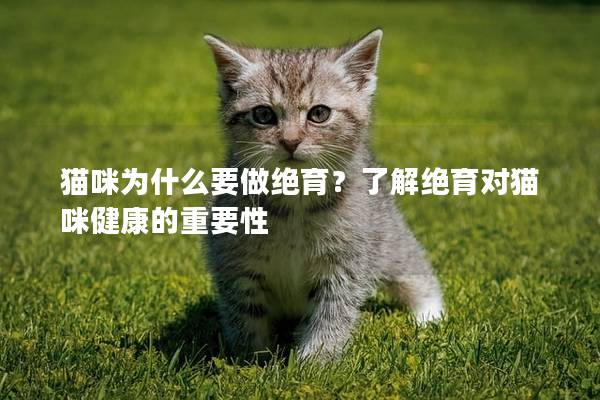 猫咪为什么要做绝育？了解绝育对猫咪健康的重要性