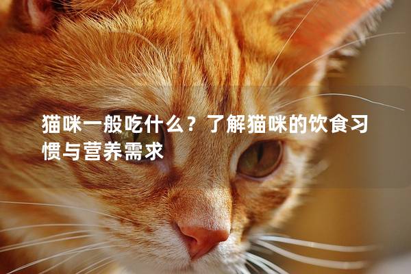 猫咪一般吃什么？了解猫咪的饮食习惯与营养需求