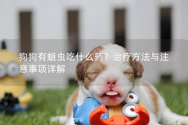 狗狗有蛔虫吃什么药？治疗方法与注意事项详解