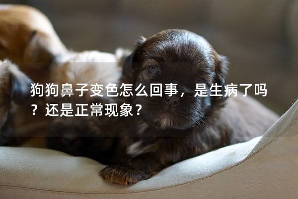 狗狗鼻子变色怎么回事，是生病了吗？还是正常现象？