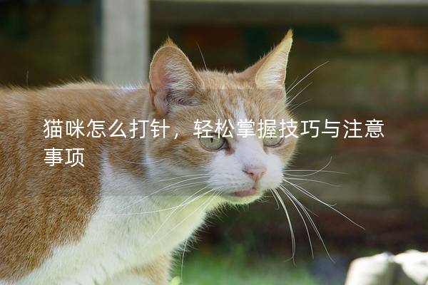 猫咪怎么打针，轻松掌握技巧与注意事项