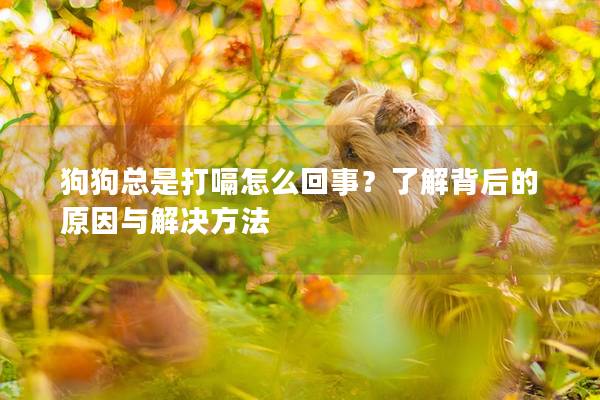 狗狗总是打嗝怎么回事？了解背后的原因与解决方法