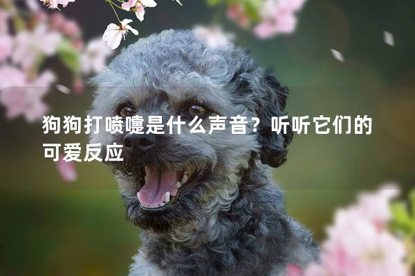 狗狗打喷嚏是什么声音？听听它们的可爱反应