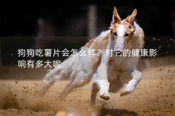 狗狗吃薯片会怎么样？对它的健康影响有多大呢