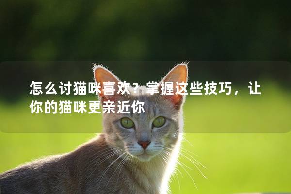 怎么讨猫咪喜欢？掌握这些技巧，让你的猫咪更亲近你