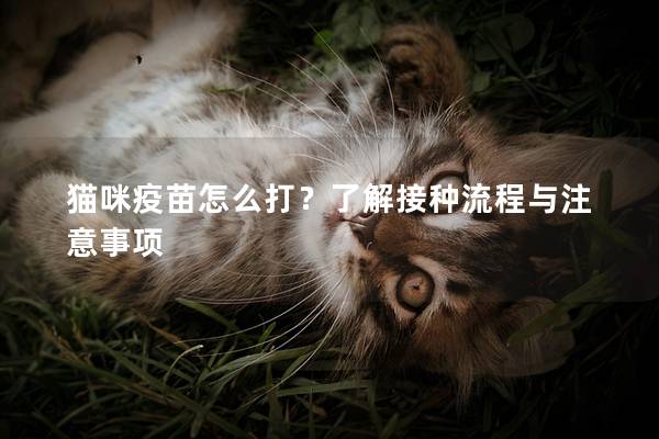 猫咪疫苗怎么打？了解接种流程与注意事项
