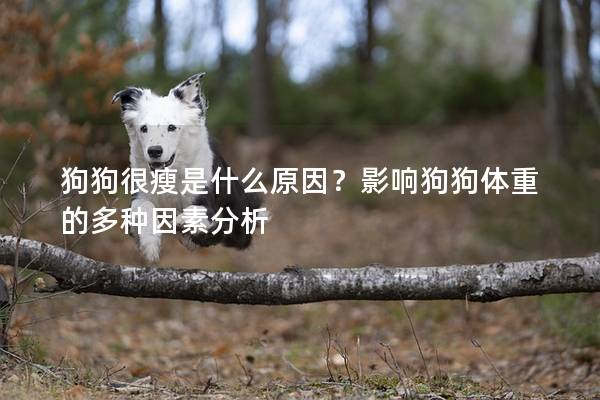 狗狗很瘦是什么原因？影响狗狗体重的多种因素分析