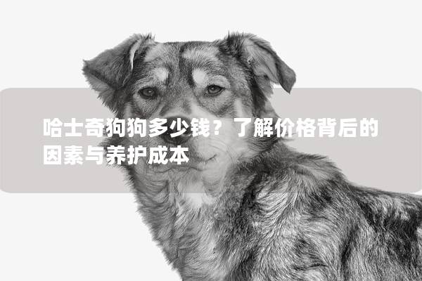 哈士奇狗狗多少钱？了解价格背后的因素与养护成本